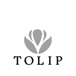 Tolip